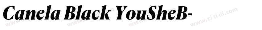 Canela Black YouSheB字体转换 Canela Black YouSheB字体转换